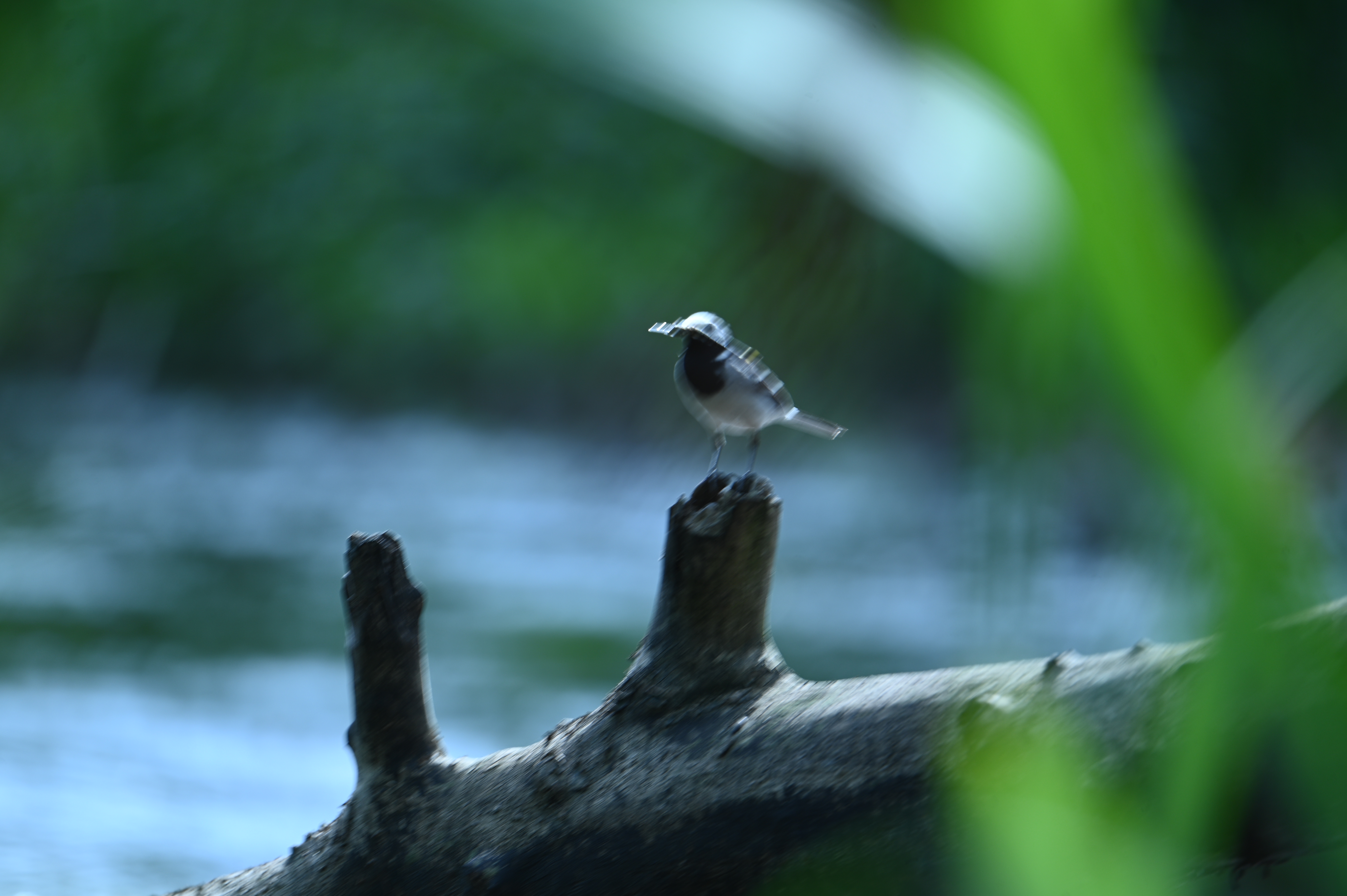 2025/07/09-14 - trip/DSC_0471.JPG